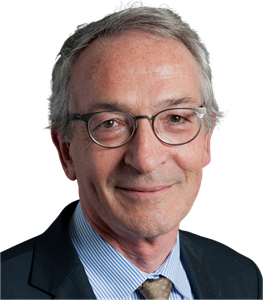 Prof. Dr. Dominique Valla 